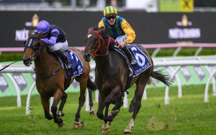 的混双组合 的混双组合