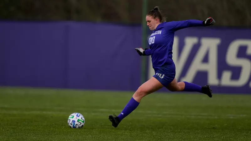 迅速成为欧 迅速成为欧